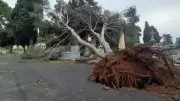 Agde : Le cimetière ancien fermé après la chute d'arbres causée par les intempéries