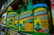 Bayer conclut un accord de 7,25 milliards de dollars pour les litiges Roundup