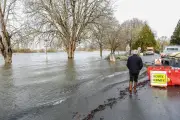 Charente en crue et tempête Pedro : Saintonge sous les eaux et les vents violents