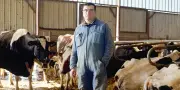 Crise bovine dans le Lot-et-Garonne : le silence mortuaire des étables après l'abattage