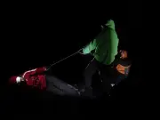 Croire aux fauves : une plongée dans l'ours solaire de Constance Dollé et Sandrine Raynal