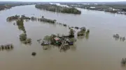 Dégâts catastrophiques dans le pays nantais : les maraîchers impuissants face aux inondations