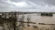 Dordogne : Les tempêtes Nils et Pedro dévastent l'agriculture, des pertes massives enregistrées
