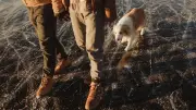 Drame sur un lac gelé : un couple disparaît, un policier tombe à l'eau en tentant de les sauver