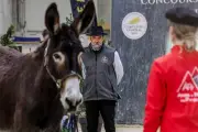 Emmanuel Legay, éleveur et juge du Trophée National de l'Âne au Salon de l'Agriculture