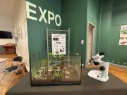 Exposition 'L'homme et la graine' : Découvrez les secrets des fruits à l'Espace nature