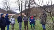 Formation à la taille des arbres fruitiers avec Les vergers d'antan en Aveyron