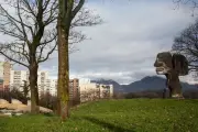 Grenoble : un enfant de 7 ans grièvement blessé par balle dans un règlement de comptes lié au narcotrafic