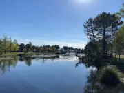 Journées Zones Humides : Le Médoc Dévoile ses Trésors Naturels par des Balades Gratuites