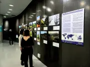 La Cité du Vin célèbre ses 10 ans avec une exposition mondiale de vignobles