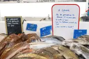 La flotte de pêche européenne se réduit, l'autosuffisance en baisse selon Eurostat