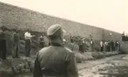 La Grèce acquiert des photos inédites d'une exécution massive nazie de 200 communistes