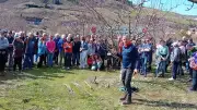 La Journée de l'Arbre de Paulhe mise en pause après 25 ans d'existence