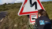 La LPO lance un plan de sauvetage pour protéger les amphibiens de l'Hérault