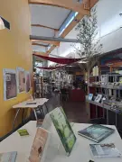 La médiathèque Jean Cocteau célèbre la forêt avec des ateliers et expositions immersifs