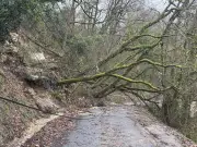 La tempête Nils dévaste Saint-Romain-le-Noble, la commune demande l'état de catastrophe naturelle