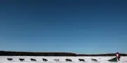 La Yukon Quest, une épreuve mythique née dans un bar d'Alaska