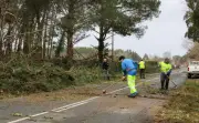 Landes : routes toujours coupées après la tempête Nils, câbles électriques en cause