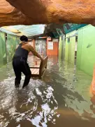 L'Aquarium du Périgord noir inondé : appel à la solidarité pour sauver 6 000 animaux