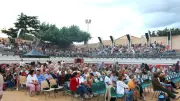 Laurent Voulzy en concert dans les arènes de Bouillargues le 3 juillet