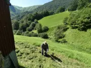 Le CPIE Pays basque lance un cycle de formation sur les savoir-faire du jardin en 2026