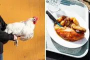 Le Poulet de Bresse, une halte gastronomique incontournable sur l'A39