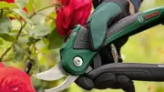 Le sécateur sans fil Bosch EasyPrune à prix cassé sur Cdiscount : une aubaine pour jardiniers