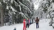 Les écoliers de la Garde découvrent le ski de fond à la Baraque des Bouviers