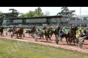 L'hippodrome de Bordeaux-Le Bouscat propose une journée festive mêlant courses, musique et convivialité