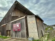 Limousin : un projet d'engraissage intensif cristallise la guerre idéologique sur l'agriculture