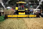 L'intelligence artificielle révolutionne l'agriculture française au Salon de l'Agriculture