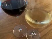 L'équilibre du vin : entre saveurs et sensations, la clé de la qualité