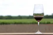 L'UE débloque 40 millions d'euros pour la distillation de crise du vin français