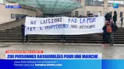 Lyon : 200 personnes marchent pour soutenir Théo, victime de trois agressions