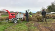 Maureilhan recycle ses sapins de Noël en paillage écologique