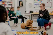 Médiation canine : comment les chiens transforment l'atmosphère dans les écoles et hôpitaux