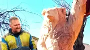 Nicolas Dorange, sculpteur à la tronçonneuse, transforme le bois en art