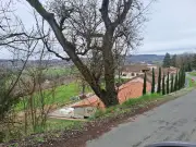 Panacéa, start-up FoodTech, face à un imbroglio administratif malgré une levée de fonds prometteuse