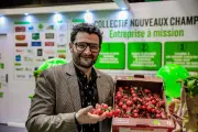 Rougeline, leader français de la tomate, réinvente l'agriculture face aux défis du marché