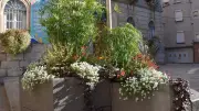 Saint-Affrique remporte le premier prix départemental du fleurissement en Aveyron