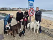 Saint-Jean-de-Luz et Ciboure : une pétition pour le retour des chiens sur les plages hors saison