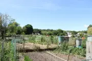 Saint-Palais-sur-Mer élargit ses jardins associatifs bio dans un cadre collaboratif