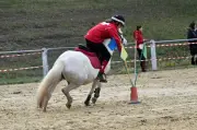 Saint-Seurin-sur-l'Isle célèbre le Pony-Games avec 31 épreuves équestres ce dimanche