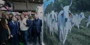 Salon de l'Agriculture 2026 : Macron inaugure une édition historique sans vaches
