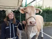 Salon de l'agriculture 2026 sans bovins : les éleveurs landais organisent un « Faux Départ »