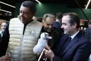 Salon de l'Agriculture : Sébastien Lecornu prépare le terrain pour sa loi d'urgence agricole
