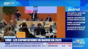 Salon Wine Paris : les professionnels du vin français résistent aux droits de douane américains