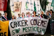 Seule l'action politique peut réduire l'incidence du cancer en France