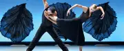Sorties à Montpellier du 16 au 18 février : Danse, cinéma et conférences au programme