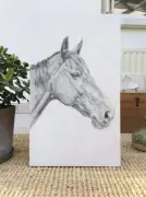 Stage d'illustration animalière et sortie familiale à Donnezac en février